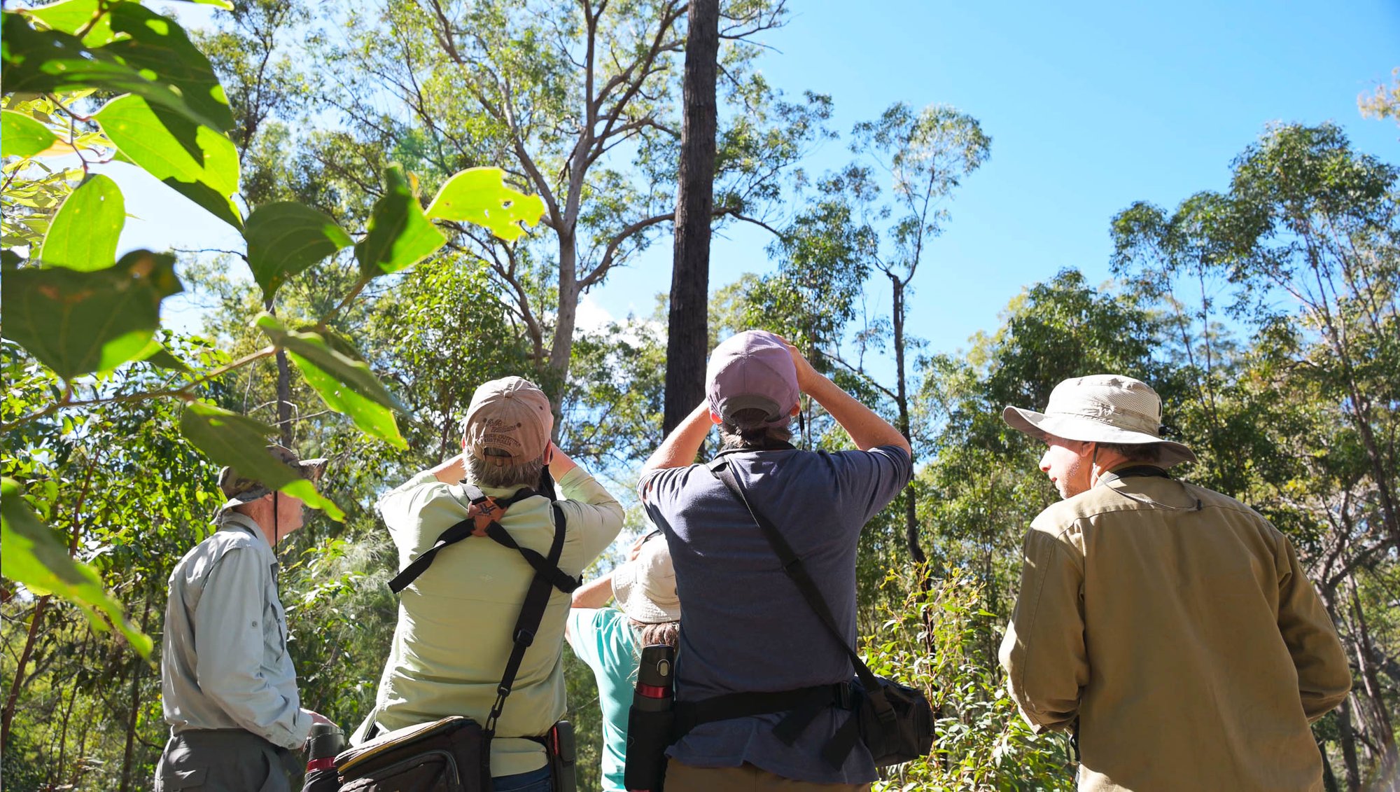 Wide Bay–Burnett residents in a local state forest(2)